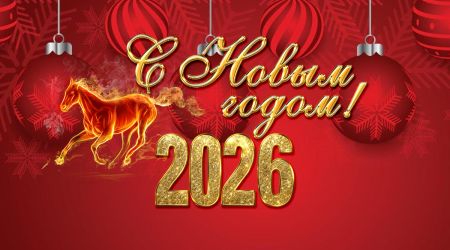 Коллектив сети ломбардов Вегаприм поздравляет всех с наступающим Новым годом!